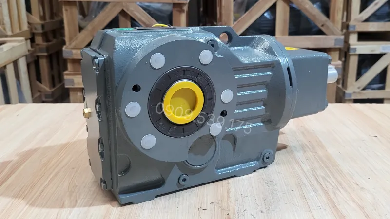 General design of the S-Series Helical Worm Gearbox 11kW 15Hp