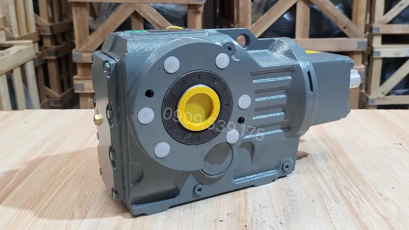 General design of the S-Series Helical Worm Gearbox 22kW 30Hp