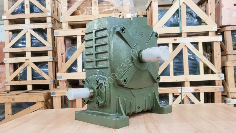 Overview design of the WPA 135 worm gearbox