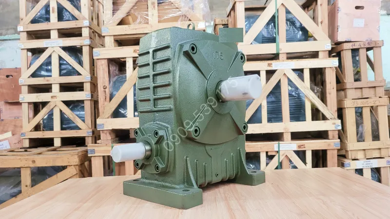 Overall design of WPA 200 Worm Gearbox
