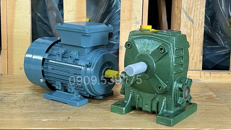 General design of WPA 40 gear motor 0.18kW 0.25Hp