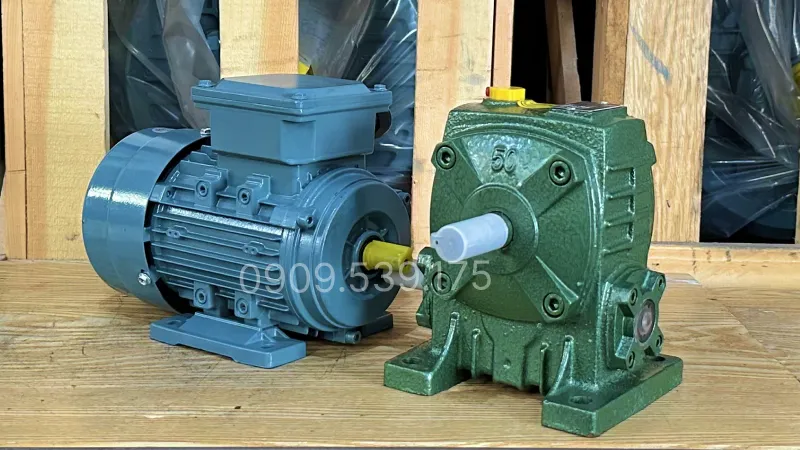 Thiết kế tổng quan motor giảm tốc WPA 50 0.18kW 0.25Hp
