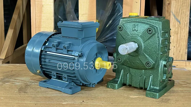 Thiết kế tổng quan motor giảm tốc WPA 60 0.25kW 0.34Hp