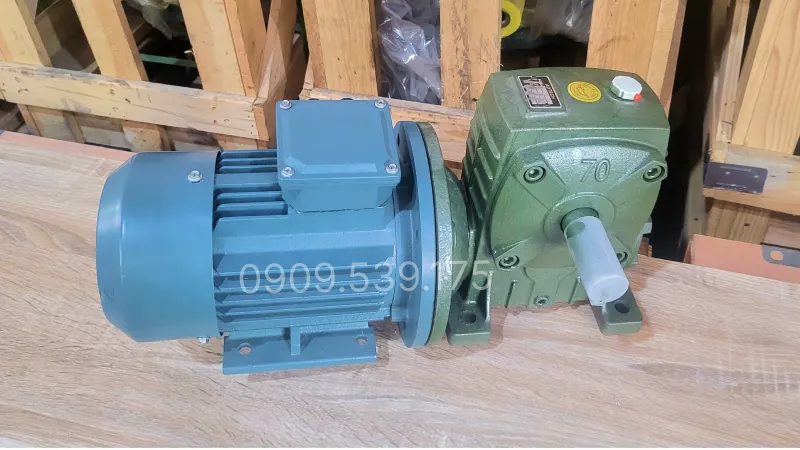 General design of WPDA 70 gear motor 0.55kW 0.75Hp