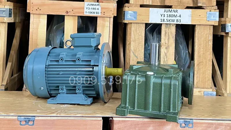 Thiết kế tổng quan motor giảm tốc WPDO 135 4kW 5.5Hp