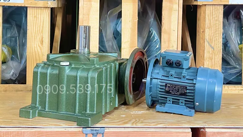 Thiết kế tổng quan motor giảm tốc WPDO 60 0.25kW 0.34Hp