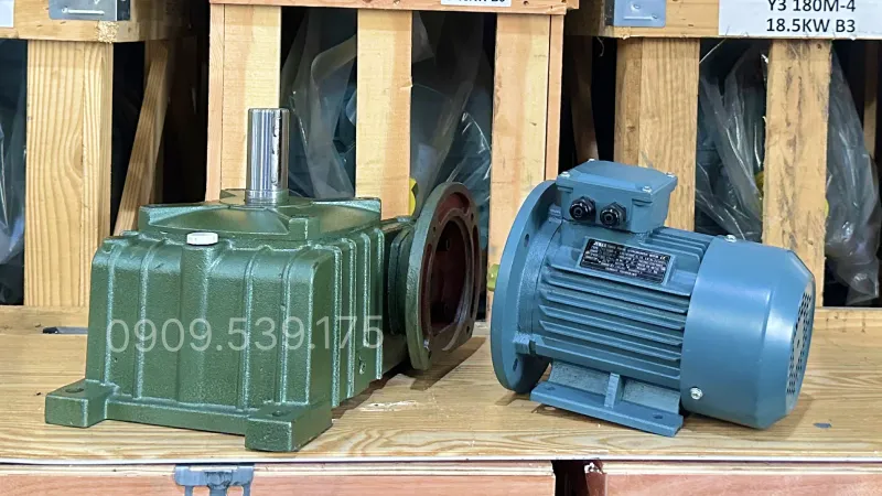 Thiết kế tổng quan motor giảm tốc WPDO 70 0.55kW 0.75Hp