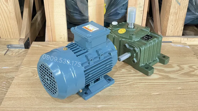General design of WPO 60 Gear Motor 0.25kW 0.34Hp