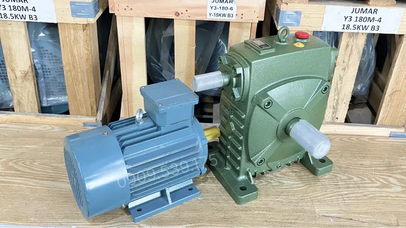 General design of WPS 155 Gear Motor 7.5kW 10Hp