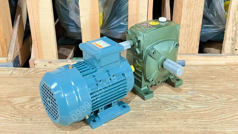 Thiết kế tổng quan motor giảm tốc WPS 50 0.18kW 0.25Hp