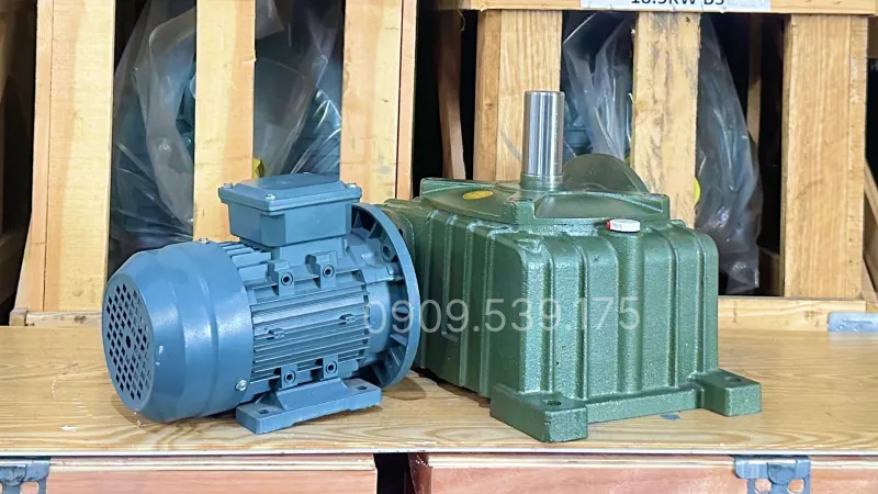 Ứng dụng motor giảm tốc WPDO 60 0.25kW 0.34Hp
