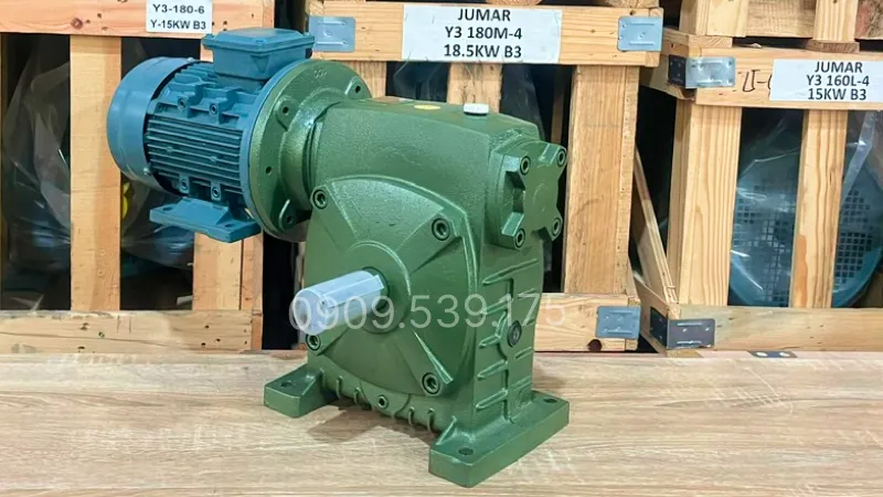 Ứng dụng motor giảm tốc WPDS 100 1.5kW 2Hp