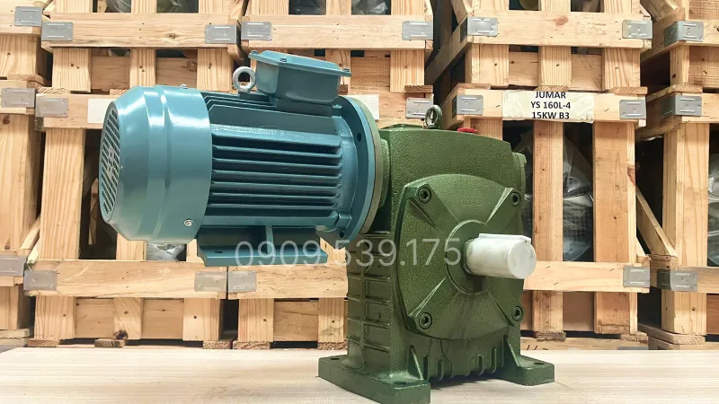 Applications of the WPDS 175 Gear Motor 7.5kW 10Hp
