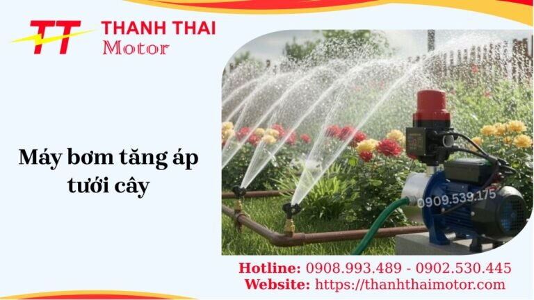 Máy bơm tăng áp tưới cây