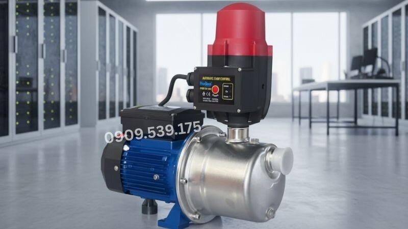 Nên chọn bơm tăng áp tưới cây tại Thành Thái Motor vì sản phẩm có chất lượng ổn định, áp lực mạnh, vận hành bền bỉ.