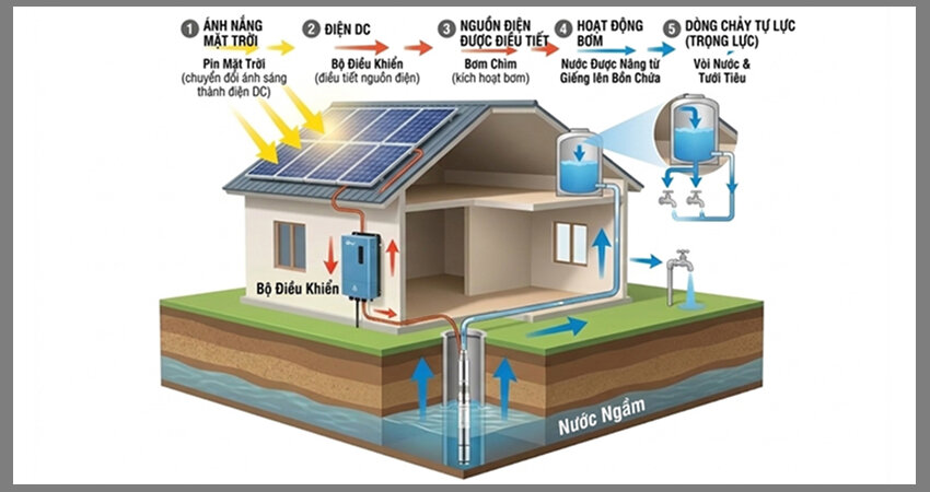 Hệ thống máy bơm nước năng lượng mặt trời hoạt động dựa trên nguyên lý quang điện