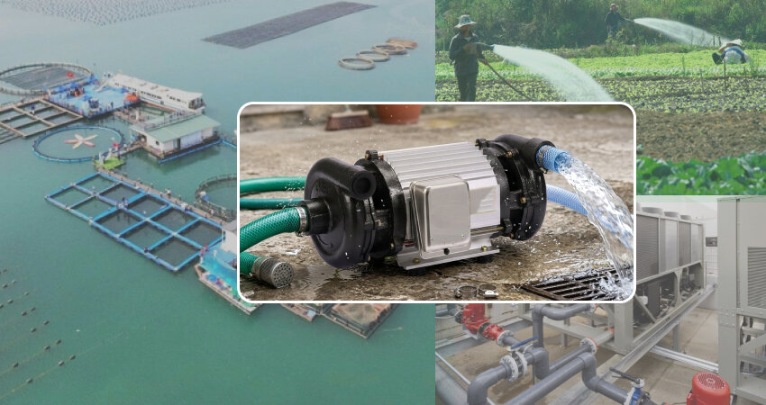 Máy bơm nước 2 đầu được sử dụng rộng rãi trong nhiều lĩnh vực khác nhau nhờ tính linh hoạt vượt trội và hiệu suất làm việc cao