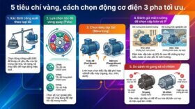 5 tiêu chí vàng, cách chọn động cơ điện 3 pha tối ưu.