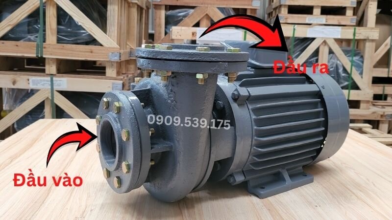 Cách phân biệt đầu vào và đầu ra của một máy bơm nước