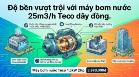 Độ bền vượt trội với máy bơm nước 25m3/h Teco dây đồng.