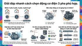 Giải đáp nhanh cách chọn động cơ điện 3 pha phù hợp.