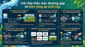 Giải đáp thắc mắc thường gặp về bơm tăng áp tưới cây.