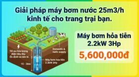 Giải pháp máy bơm nước 25m3/h kinh tế cho trang trại bạn.