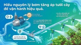 Hiểu nguyên lý bơm tăng áp tưới cây để vận hành hiệu quả.