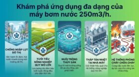 Khám phá ứng dụng đa dạng của máy bơm nước 250m3/h.