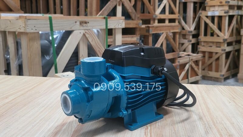 Tổng thể máy bơm nước đẩy cao Lepono XKm50-1 0.11kW 0.15Hp 