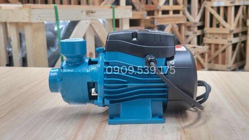 Góc nhìn tổng quan máy bơm nước chân không cá sấu P160 0.16kW 0.25Hp