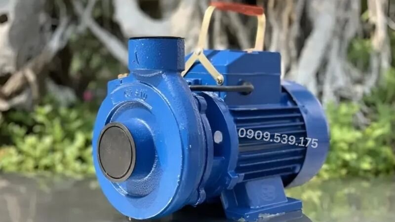 Máy bơm cá sấu có lưu lượng hút nước 5m3/h tại Thành Thái Motor.