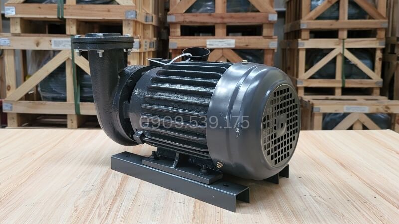 Góc nhìn trực diện của Máy bơm nước TECO 3.0kW 4Hp