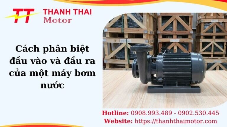 Thumb phân biệt đầu vào đầu ra