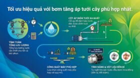 Tối ưu hiệu quả với bơm tăng áp tưới cây phù hợp nhất.