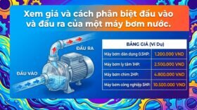 Xem giá và cách phân biệt đầu vào và đầu ra của một máy bơm nước.