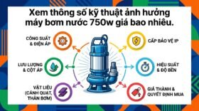 Xem thông số kỹ thuật ảnh hưởng máy bơm nước 750w giá bao nhiêu.