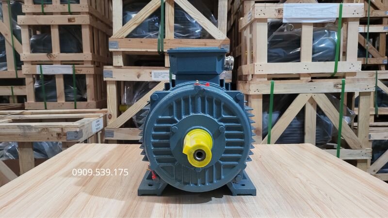 Khuyến cáo chỉ áp dụng đấu tụ cho motor nhỏ dưới 2.2kW và bắt buộc dùng motor chuyên dụng cho các loại tải nặng.