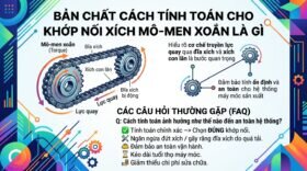 Bản chất Cách tính toán cho khớp nối xích mô-men xoắn là gì