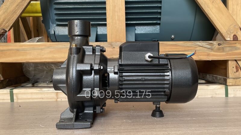 Máy bơm nước 1 pha công suất 2.2kW 3Hp uy tín tại Thành Thái Motor