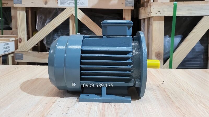 Cách chọn motor điện tiết kiệm điện