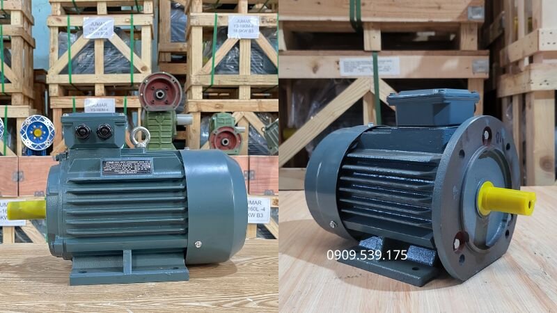 Phân biệt động cơ điện mặt bích và chân đế