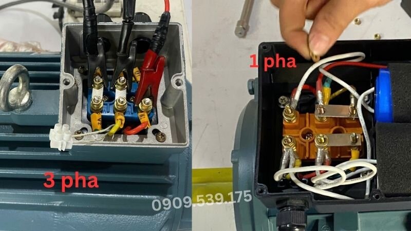 Cận cảnh hộp cực đấu dây: Động cơ 3 pha (trái) và động cơ 1 pha chứa tụ điện với 6 cọc đồng (phải).