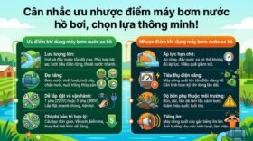 Cân nhắc ưu nhược điểm máy bơm nước hồ bơi, chọn lựa thông minh!