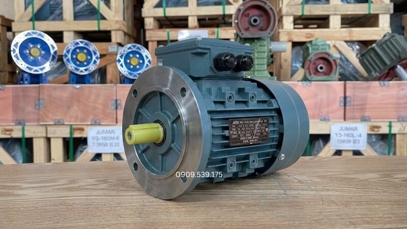 Cấu trúc lắp B5: Bắt bu-lông trực tiếp qua mặt bích (mặt loa) đầu trục, loại bỏ hoàn toàn chân đế