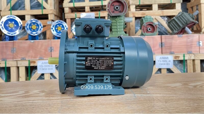 Hình ảnh tổng quan của động cơ điện