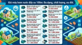 Giá máy bơm nước đẩy xa 100m: Đa dạng, chất lượng, ưu đãi.
