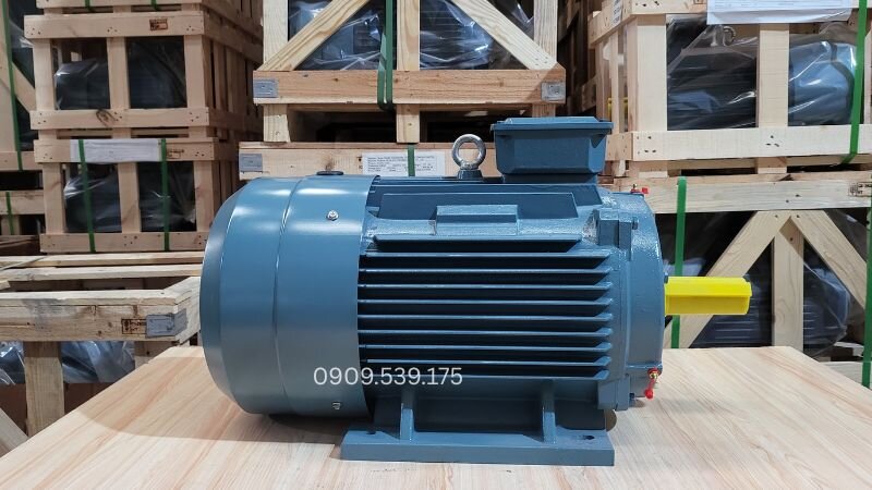 Tình trạng mất khả năng định tâm trục do vòng bi bị rỗ rãnh, nứt vỡ lồng sa hoặc cạn mỡ