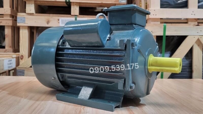 Hình ảnh động cơ điện mới tại Thành Thái Motor.