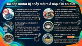 Hỏi đáp motor bị chảy mỡ ra ở nắp ổ bi chi tiết.